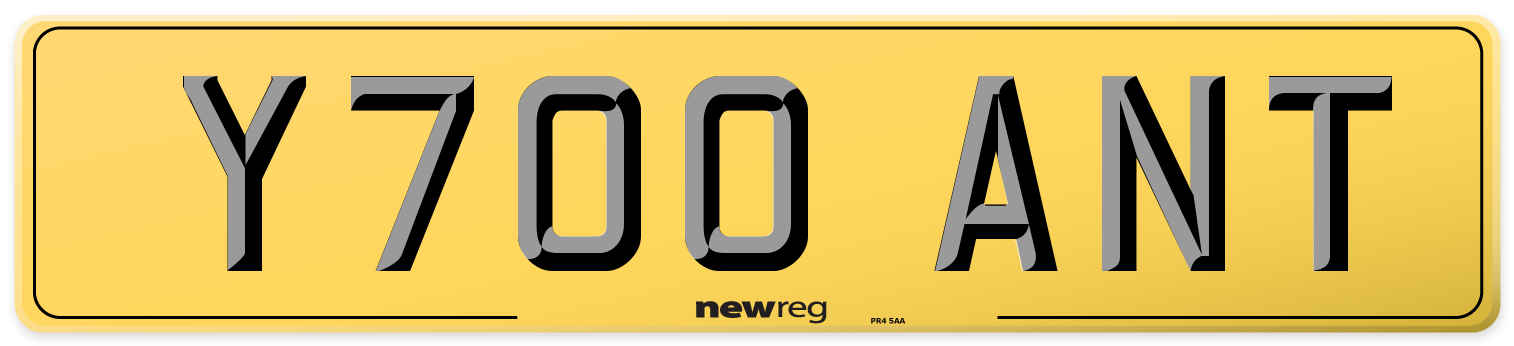 Y700 ANT Rear Number Plate