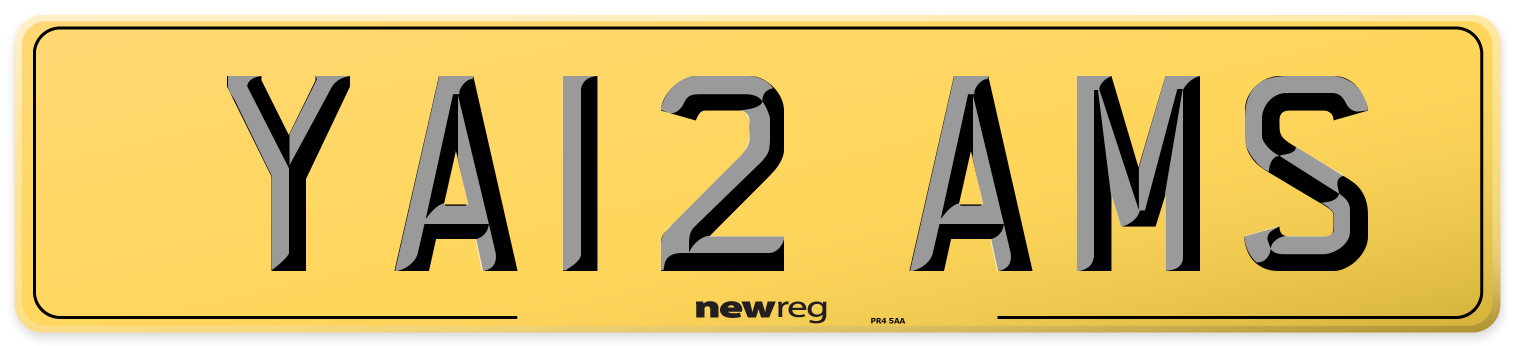 YA12 AMS Rear Number Plate